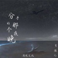 肖凝儿 - 分手的那个夜晚