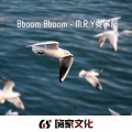 M.R.Y麦尔彦 - Bboom Bboom (DJ版)
