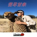 念先生 - EA7醒不来的梦