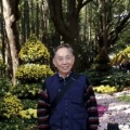 王寅观 - 伦巴交谊舞 红叶情歌