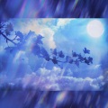 Moonlight