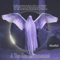 Topgun、Top Gun - WINGSOFANANGEL