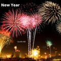 Will Borders - New Year