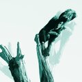 Dpath - Primitive