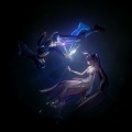 弥越 - 不舍