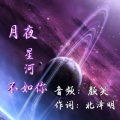 月夜星河不如你