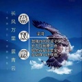 燕双鹰