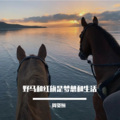 周资恒 - 从来不会跟狗计较我无敌你随意