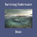 Dinic - Surviving Underwater (Explicit)