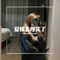 圈妹、小豚豚、安小能 - 你是人间四月天