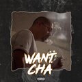 Hi-Stakes - Want Cha (Explicit)
