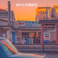 圈妹、糖糖、虞姬 - 怕什么天道轮回
