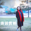 主播丁歌 - 5赏析李白《将进酒》
