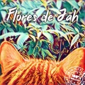 Flores de Jah、Guido Aimar、Diego Parera、Teclados、Martin Santos - Si Te Vas
