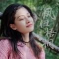 戴琳芷 - 凤归梧桐