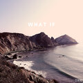 DRN - What If