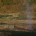 Joseph - 山野