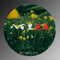 鳌拜 - 八百里花海