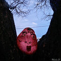 LX、MELO - Strawberry Love