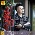 陈星华 - 情一动心就痛