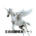 王启远翻唱麦（一）