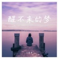 王梦奇 - 醒不来的梦 (DJ版)