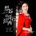 云中飞燕 - 想起哥哥泪两行
