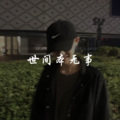 精彩樊兵 - 世间本无事