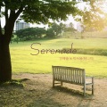 Serenade (세레나데)