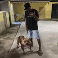 Dj Viana、Mc Fabinho osk - Se Trair Bandido Você Sabe Oque Acontece (feat. Mc Fabinho Osk)