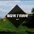 杨大白 - 你是葬了我的坟