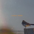 Pete Johnson、Ammons、Meade Lux Lewis - Country Willie