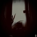 BREAKING CYCLES (Explicit)