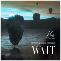 Wait (Remix)