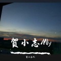 贺小志Mly - 爱如潮水remix