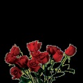 Raz St. Laurent、Toosii、Taeej、Fire Pin - Toosii Poetic Pain (feat. Toosii Taeej & Fire Pin)(Remix|Explicit)