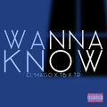 El'Mago、TR、TB - Wanna Know (Explicit)