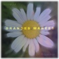 Grandes Marées (feat. Olivia Ruby)