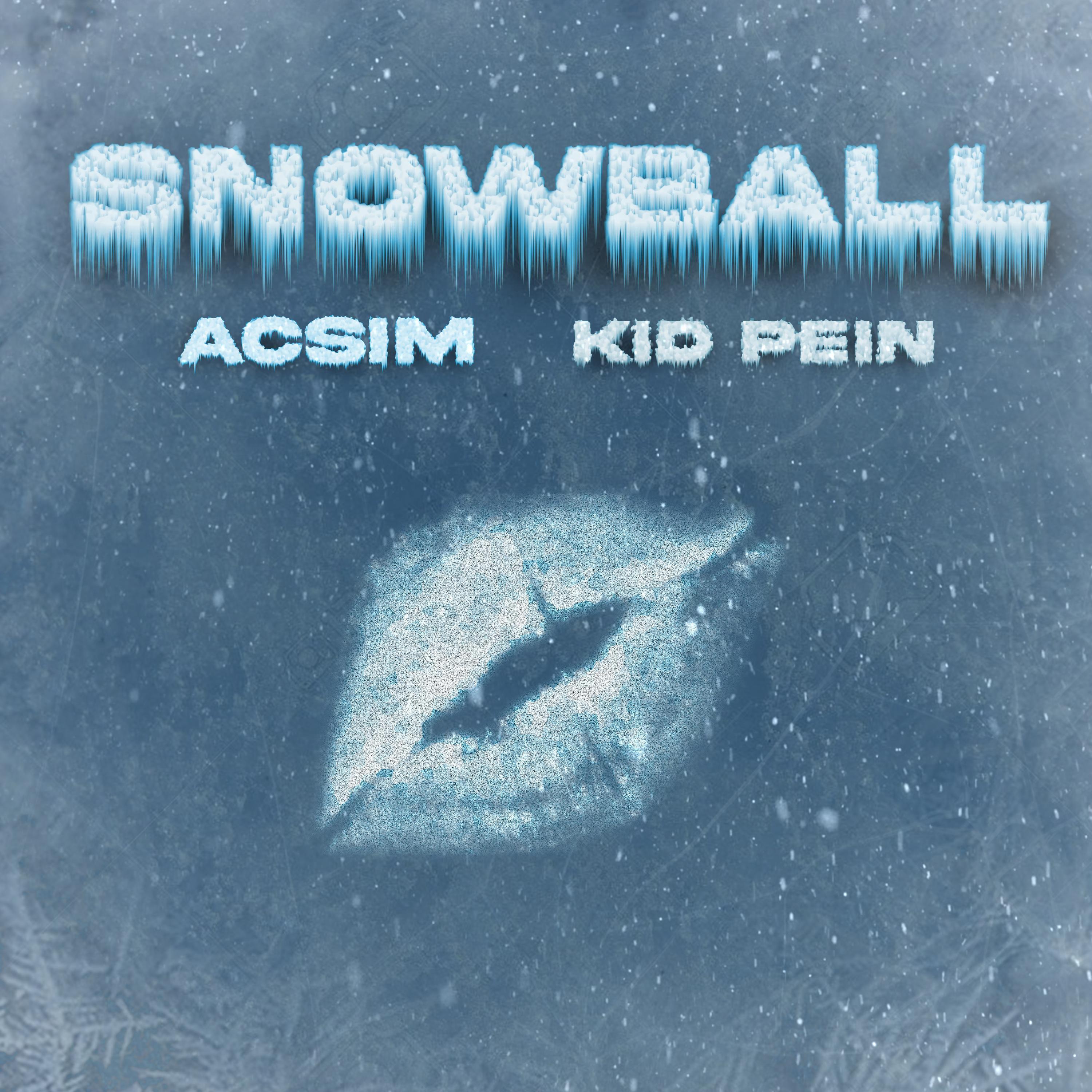 ACSIM、888、Pein - Snowball