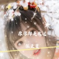张正贤 - 安慕希 (电摇舞曲版)