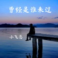 小飞总 - 曾经是谁来过