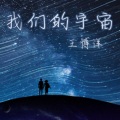 王博洋 - 夜