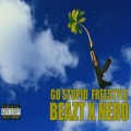 Go Stupid Freestyle (feat. Nero) [Explicit]