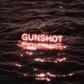 Gunshot (Explicit)