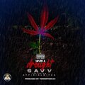 TSavv、Afficialwitaa - Never A Drought (Explicit)