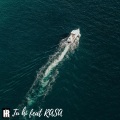 Hammad Rashid、Rasa - Tu hi (feat. Rasa)