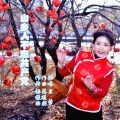 伊人家乡 - 山乡人不忘共产党 (王莹演唱版)