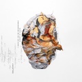 Dolansky - Retainer