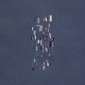 park bird - rainstorm