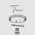 MDE Major、MDE - PROMISE